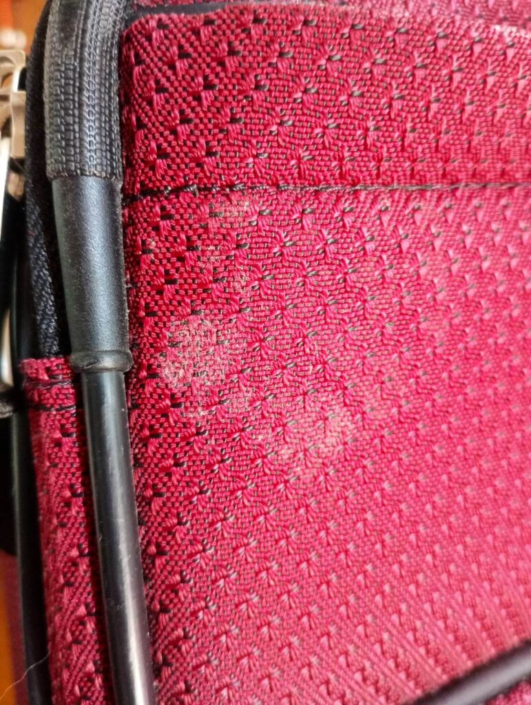 布製スーツケースに付着したカビの写真